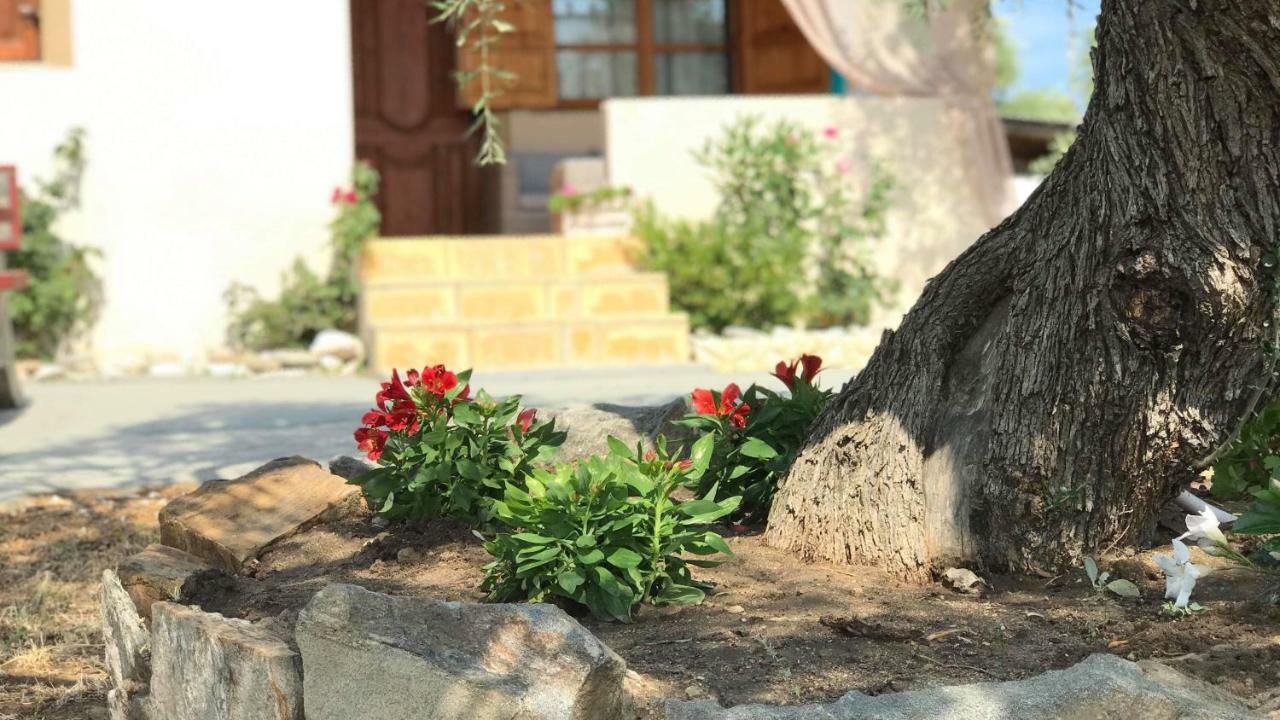 Dream House Villa Алики Экстерьер фото